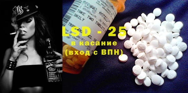 крисы Горняк