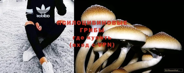 соль ск Горнозаводск