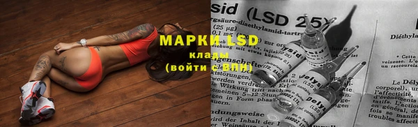 крисы Вязники
